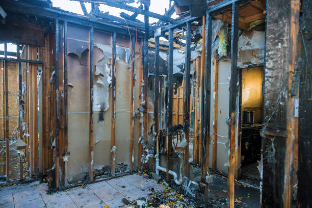 Professional Soot Cleanup technician working in Magnolia, TX